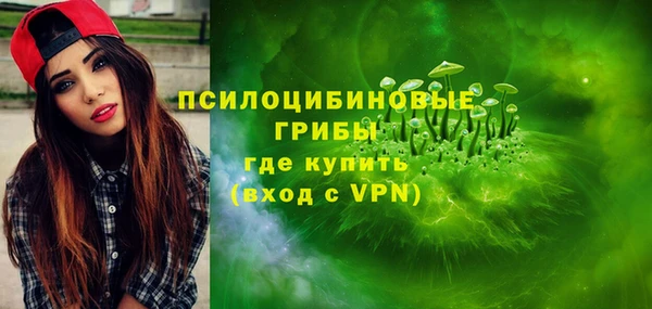 МДПВ Богданович