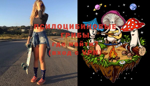 ГАЛЛЮЦИНОГЕННЫЕ ГРИБЫ Богородицк