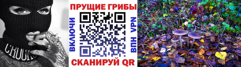 Галлюциногенные грибы мухоморы  MEGA ССЫЛКА  Щигры 