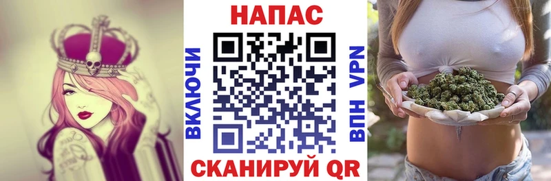 Каннабис гибрид  Щигры 